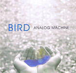 ANALOG MACHINE/BIRD